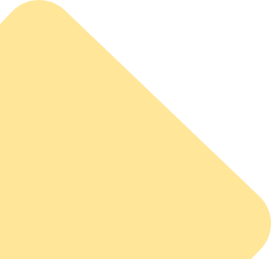 Software development New Zealand