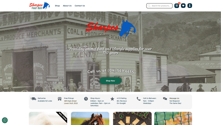 online store ecommerce experts wellington