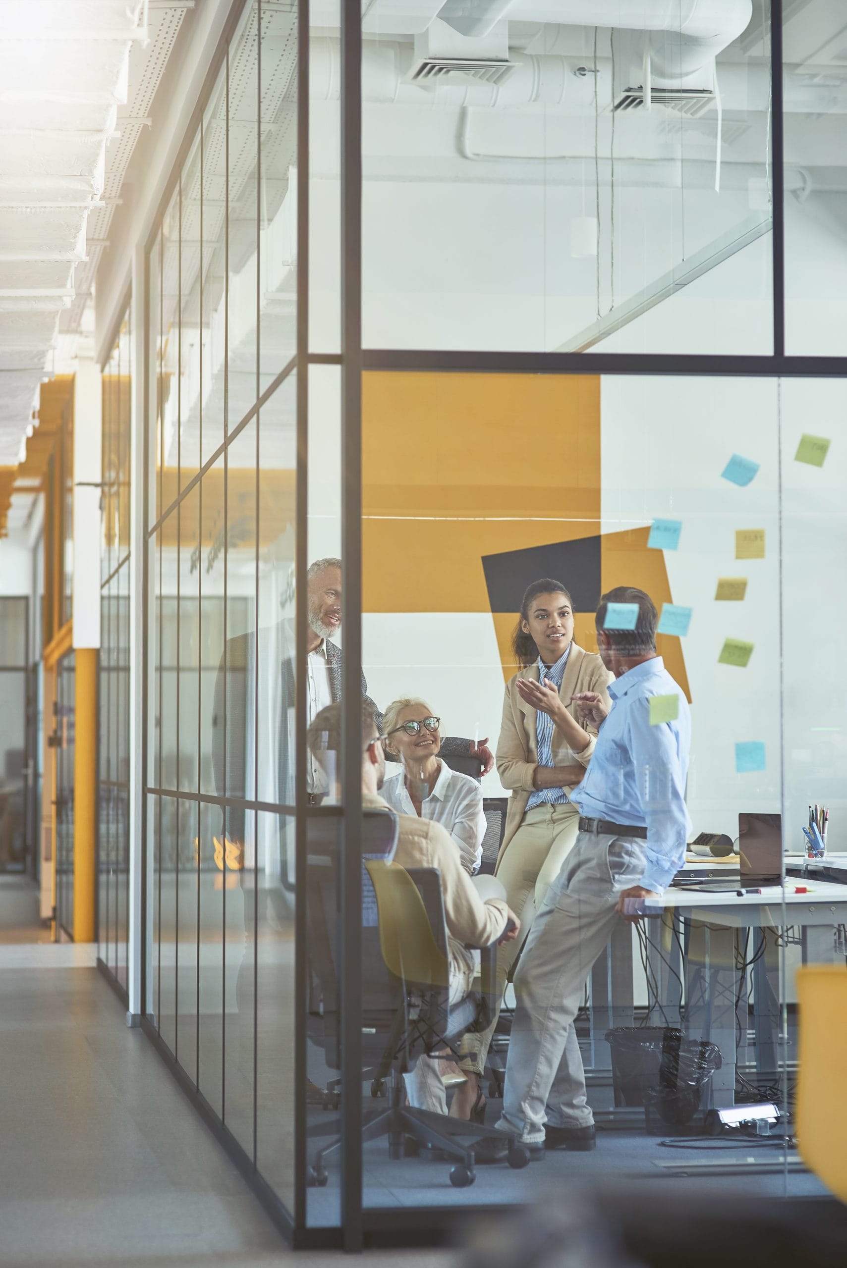 Custom software development solution wellington new zealand